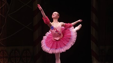 The Motion of Ballet Rotations | Iowa Science Phenomena
