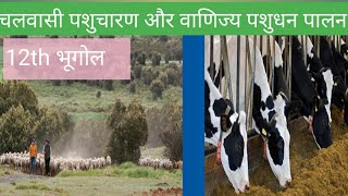 चलवासी पशुचारण और वाणिज्य पशुधन पालन l What is Nomedic Herding and Commercial Livestock Rearing