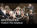 Beethoven: Osudová - Analýza a provedení (Česká studentská filharmonie)