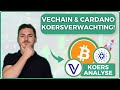  vechain en cardano zijn zeer bullish dit kunnen we verwachten en bitcoin koersanalyse naar 80k