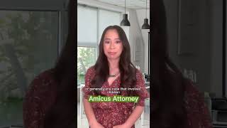 What is an amicus attorney in a divorce?