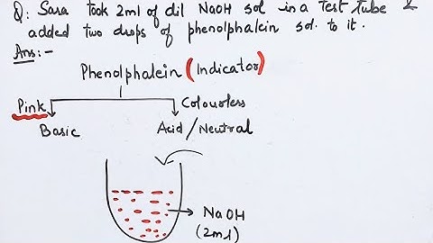 Sara took 2 mL of dilute NaOH solution in test tube and added two drops of phenolphthalein solution