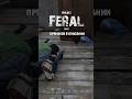 Dayz. Мясо мне! Мясо! Сервер Project Feral. #dayz #игры #дейз #dayzmod #projectferal #dayzgamers