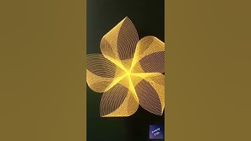 Python turtle Animation flower - 2