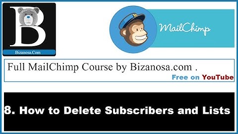 8 MailChimp Delete subscribers Delete List -  Bizanosa.com