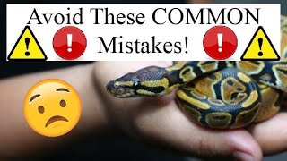 BIGGEST SNAKE CARE MISTAKES!