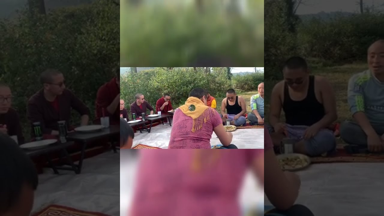 Class picnic short vlog videos