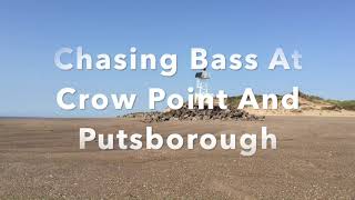 Sea Fishing The North Devon Shore Chasing Bass At Crow Point And Putsborough