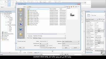 (REVIT) Linked CAD Files   Wireframe Approach (11/13)