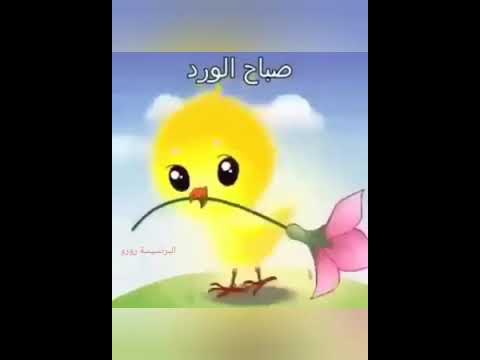 يا حلو صبح حالات واتس