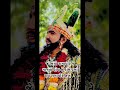 કોમેન્ટમાં જય રામાપીર લખે 🙏#jayramapir #jayramapirstatus #love #newsong #vidhiyavideothan #song