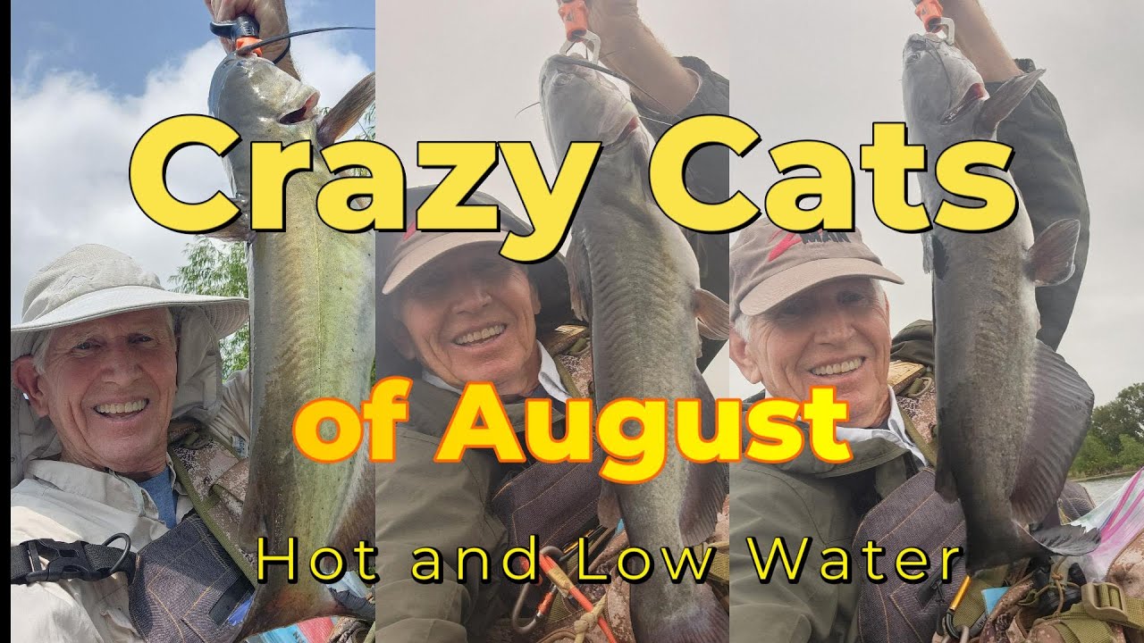 Crazy Catfish - August 2025