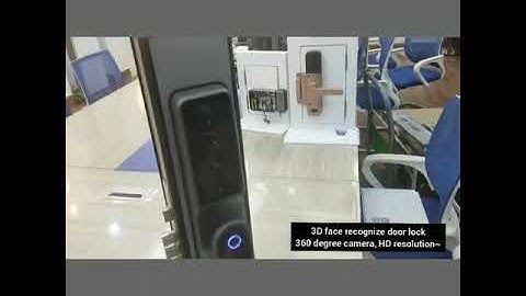 The newest Huarui lock 3D face facial recognition smart door lock for your smart home