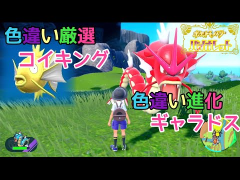 ポケットモンスター　コイキング　ギャラドス ポケモンカード コイキング ギャラドス 進化ライン 計2枚 - メルカリ