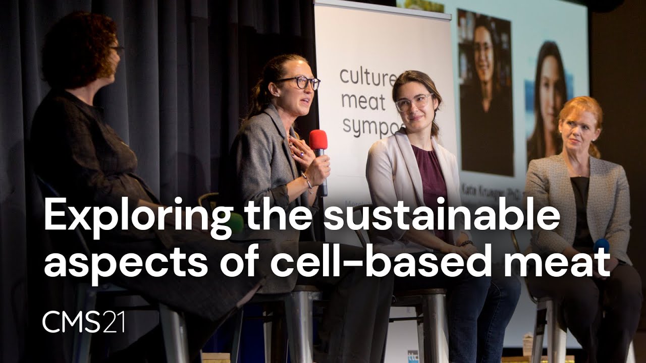 Exploring the sustainable aspects of cell-based meat - CMS21