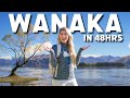 48 hours in wnaka  our top things to do  new zealand travel
