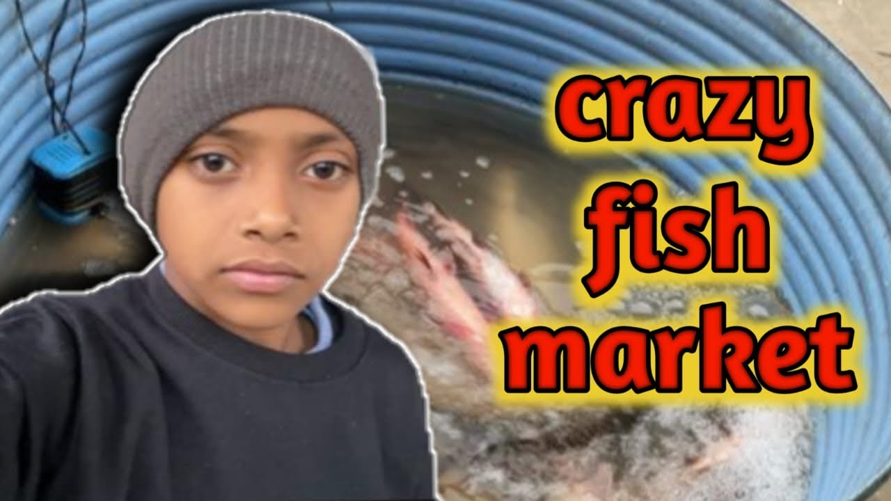 LOCAL FISH MARKET VLOG🐟😮🐬 Aaj Fish market Gye || dare Ishan vlog 