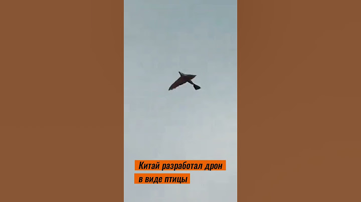 Китай разработал беспилотник в виде птицы