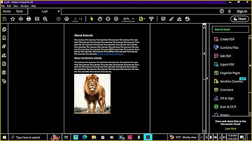 How to add Alt text for image on PDF file for screen reader accessibility