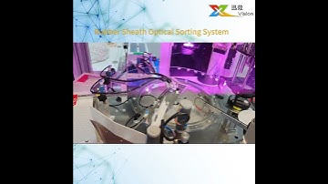 Rubber Sheath Optical Sorting System #machinevision #visualinspection #ccdinspection #aoimachine
