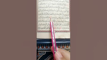تعليم سورة القصص من 49 إلى 50