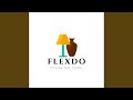 Flexdo extended version