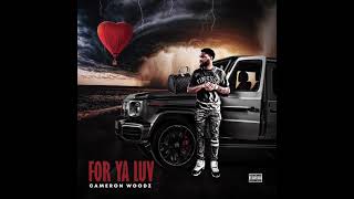 Cameron Woodz- Facts Interlude (Official Audio)