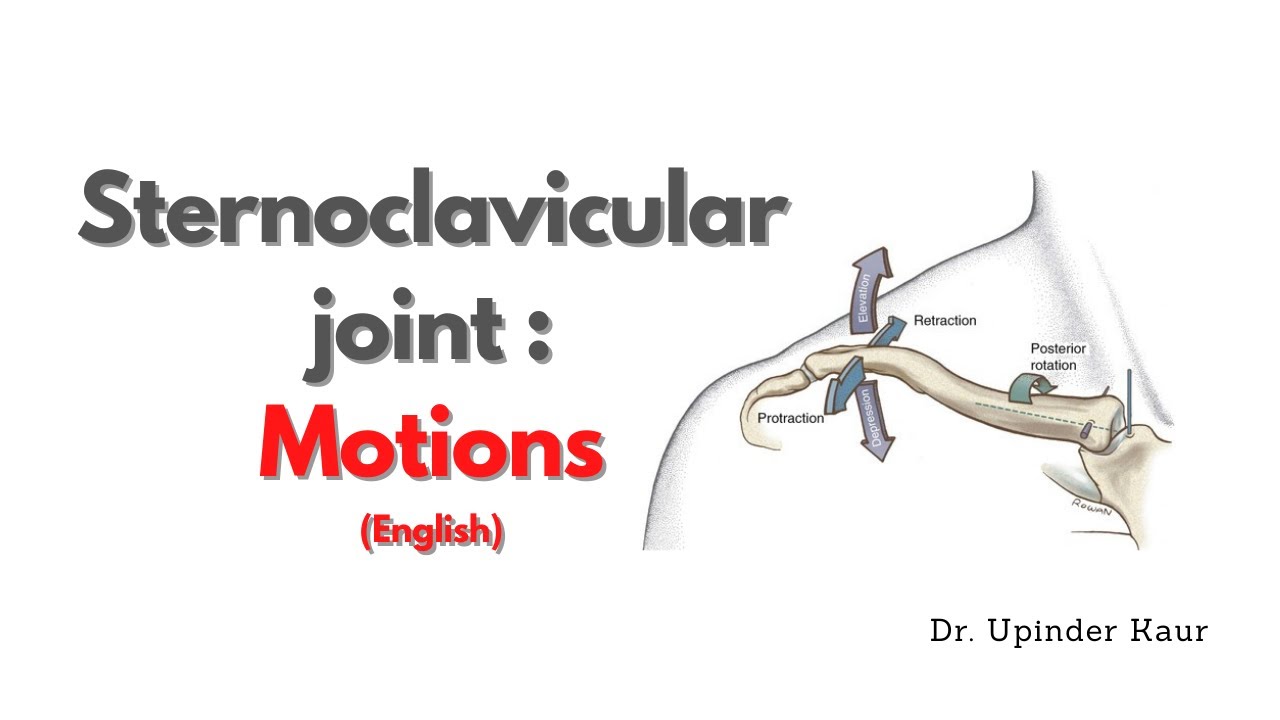 Sternoclavicular joint Motions English YouTube
