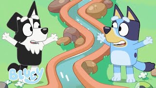 Conoce a Mackenzie | Bluey Español Canal Oficial