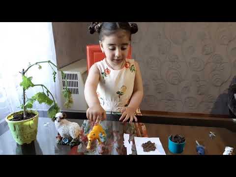 თხამ ვენახი შეჭამა