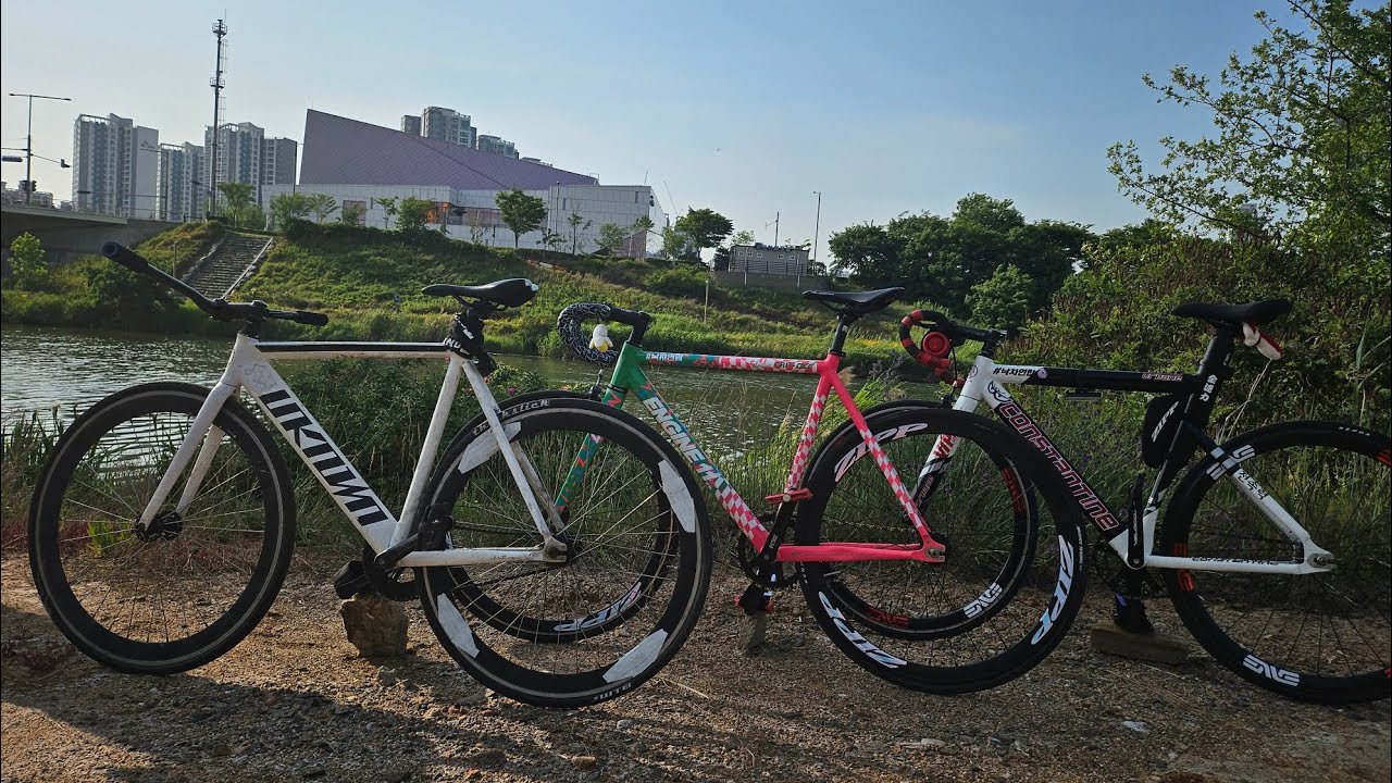 난 정말 픽시를 사랑하고있어 #스키딩 #대규모라이딩 #라이딩 #픽시 #난 정말 널 사랑하고있어