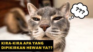 Fakta Isi Pikiran dan Tingkah Unik Hewan