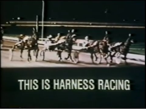 Harness Racing America Harness Racing America - YouTube