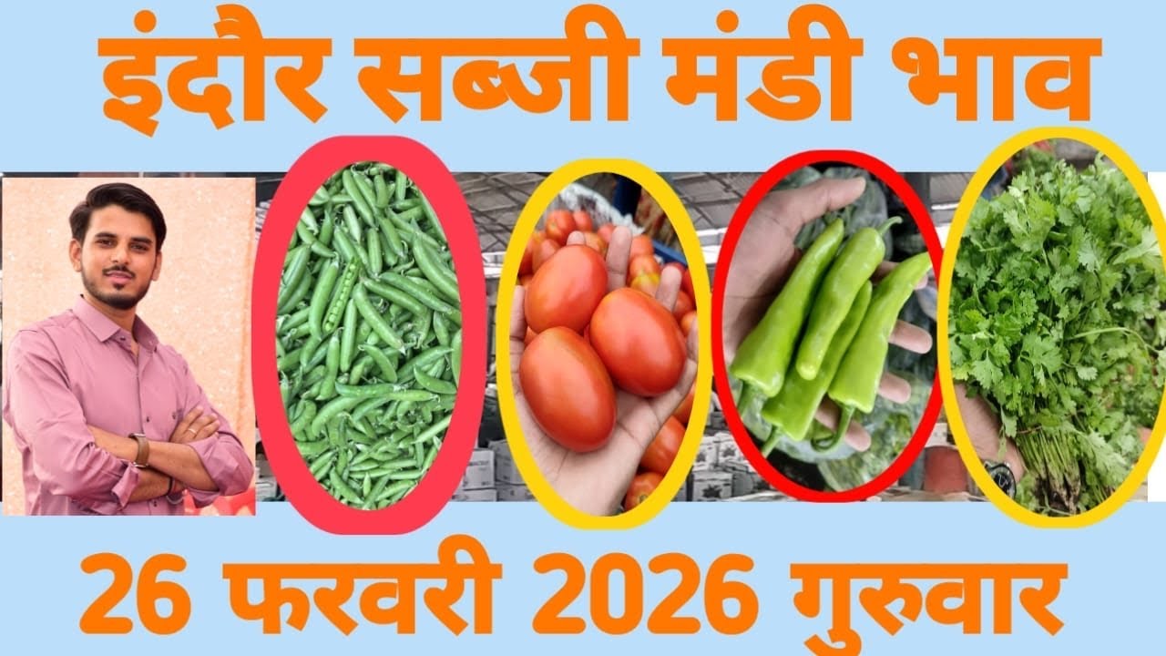 सब्जी मंडी इंदौर 🫑🍅🥔🧄// mp mandi bhav // #sabjimarketreactions 