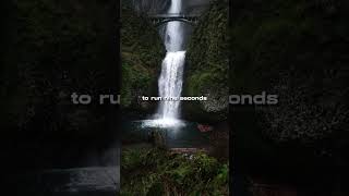 Greatest Quote Of Usain Bolt. #shorts #youtubeshorts #reality Information