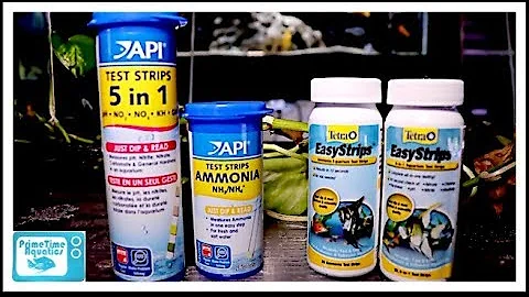 Showdown! API Water Test Strips vs Tetra Water Test Strips