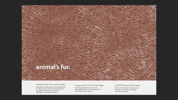 Testing Animal’s Fur Procreate Brushes by Digi Life