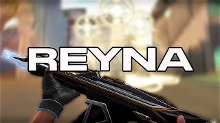 This is why I play Reyna😈
