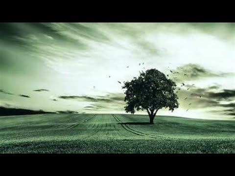 AMATERANIRO YO KU ISABATO KUWA 15 11 2025 