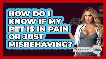 How Do I Know If My Pet Is In Pain Or Just Misbehaving? - Ask A Pet Vet