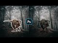 How to match a subject into any background in photoshop  photoshop tutorial trex