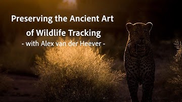 Preserving the Ancient Art of Wildlife Tracking