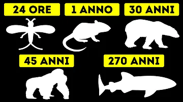 Quanti anni possono vivere i coccodrilli?