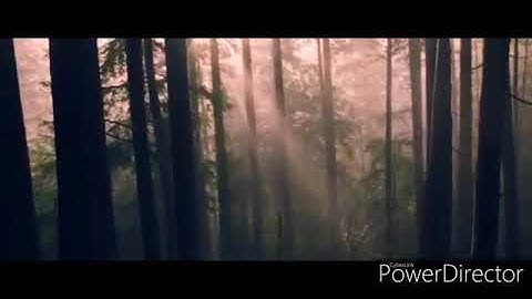 آية الكرسي تلاوة خاشعة تريح النفس و القلب