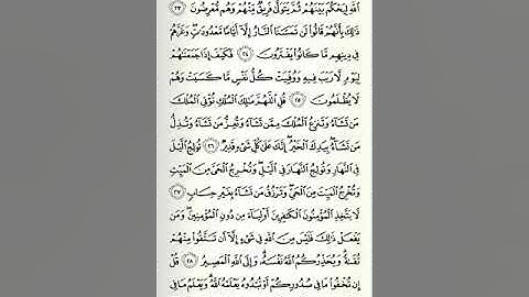 سورة آل عمران - الصفحة الرابعة
