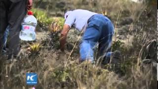 Ecuador Renews Guinness World Record Of Reforestation