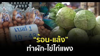 “ร้อน-แล้ง” ทำผัก-ไข่ไก่แพง