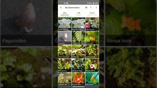 Ethnobotany 014c iNaturalist: Deleting an observation in the app screenshot 1