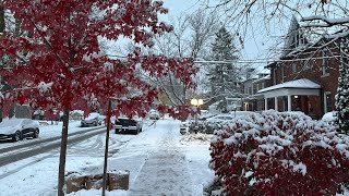 Kanada Kış Masalı Tipide Bir Gün