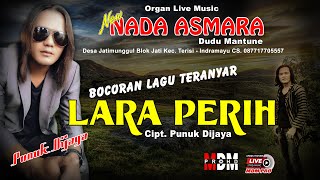 LARA PERIH// Bocoran Lagu Terbaru dari Abang PUNUK DIJAYA